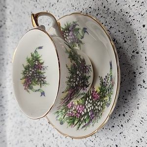Antique Regency English Bone China Tea Cup and Saucer Tulips and Plaid Ribbon